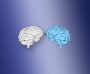 An old brain and a new brain